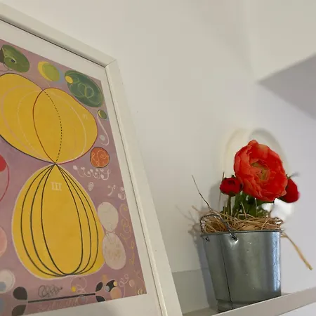 La Estrella * Saragozza